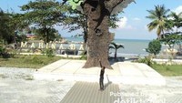 Semoga bisa terbang tinggi!!!