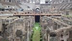 Awas! Dicegat Gladiator di Colosseum