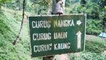 Awas Hati-hati, Banyak Monyet Nakal di Curug Nangka