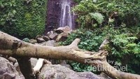 Air terjun mengering di musim kemarau