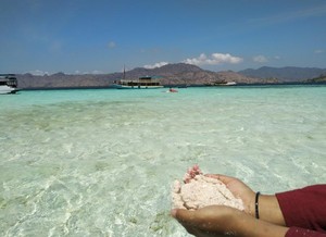 Ayo Jelajahi Pulau Surga Komodo!