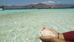 Ayo Jelajahi Pulau Surga Komodo!