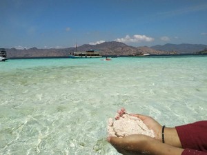 Ayo Jelajahi Pulau Surga Komodo!