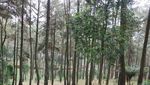 Ayo Tebak Ini Dimana? di Bogor Lho...