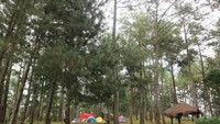 Camping ground