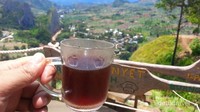 Kopi Enrekang
