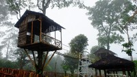 Rumah Pohon