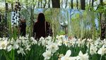 Bagai Negeri Dongeng, Taman Ini Penuh Tulip Warna-warni