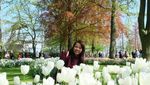 Bagai Negeri Dongeng, Taman Ini Penuh Tulip Warna-warni