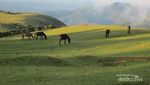 Bagai Selandia Baru, tapi Ini di NTT