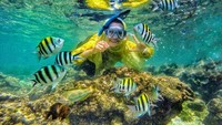 Snorkling di pantai sadranan
