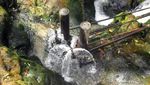 Bah Biak, Air Terjun Segar dari Sidamanik