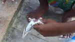 Bahagianya Mancing Bareng Anak-anak Raja Ampat