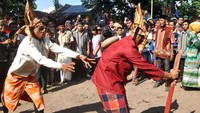 Dilempar batu kali pun mereka kebal (Ammang/detikNews)