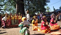 Para perempuan menari menyambut panen padi (Ammang/detikNews)