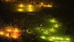 Bak Kunang-kunang, Ini Lampu Kebun Bawang di Sulawesi Lho