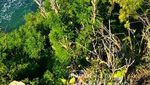 Balangan, Pantai Sepi yang Asyik Untuk Tahun Baru di Bali