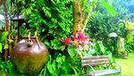Bali Jangan Cuma ke Pantai, Ada Museum Keren di Ubud