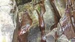 Bali Punya Air Terjun Sakral yang Cantik