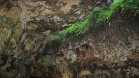 Anti mainstream bermain di bawah tebing di pantai Suluban