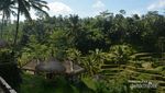 Bali yang Hijau Ada di Sini