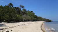 Pantai Bama pelengkap Liburan ke Baluran