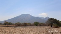 Gunung Baluran