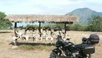 Baluran, Miniatur Afrika di Jawa Timur