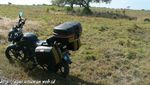 Baluran, Miniatur Afrika di Jawa Timur