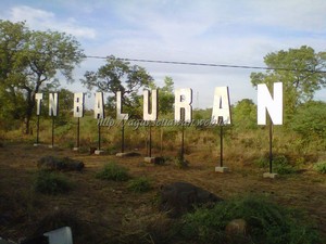 Baluran, Miniatur Afrika di Jawa Timur