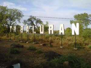 Baluran, Miniatur Afrika di Jawa Timur