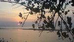 Baluran & Pantai Pasir Putih, Kekayaan Alam dari Situbondo