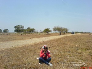 Baluran & Pantai Pasir Putih, Kekayaan Alam dari Situbondo