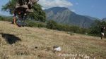 Baluran, Serasa Afrika Sungguhan!
