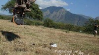 Savana Bekol, TN Baluran, Africa van Java