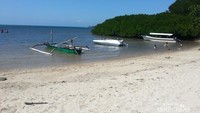 Pantai Bama, Taman Nasional Baluran