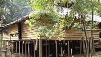 Rumah suku Dayak Meratus di sekitar sungai (borneojarjua2008.wordpress.com)