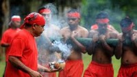 tari bambu gila, maluku