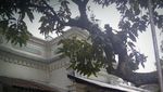 Bandung Juga Punya China Town & Kampung Arab