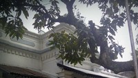 Arsitektur khas pecinan kota Bandung bisa dilihat dari rumah ini. Rumah yang berlokasi sebuah gang sempit di Jalan Oto Iskandar Dinata itu punya arsitektur yang cukup unik. Dua pilar besar menjadi ciri khas arsitektur jenis ini.