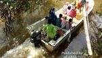 Bangka Juga Punya Hutan Mangrove Kekinian