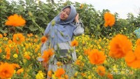 ugc