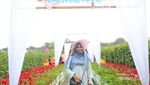 Bantul Punya Taman Bunga Secantik Ini?