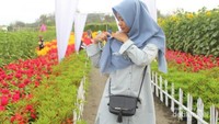 ugc