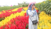 ugc