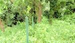 Banyak Air Terjun Cantik di Geopark Ciletuh Sukabumi
