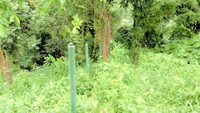 Menuju Curug Puncak Manik yang tersembunyi