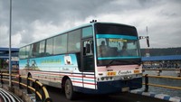 Bus Safari Dharma Raya di pelabuhan (bus-photo.net)