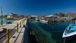Banyak yang Unik di Pulau Kojadoi, Maumere