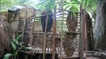 Banyuwangi Punya Kampung Primitif, Seperti di Pedalaman